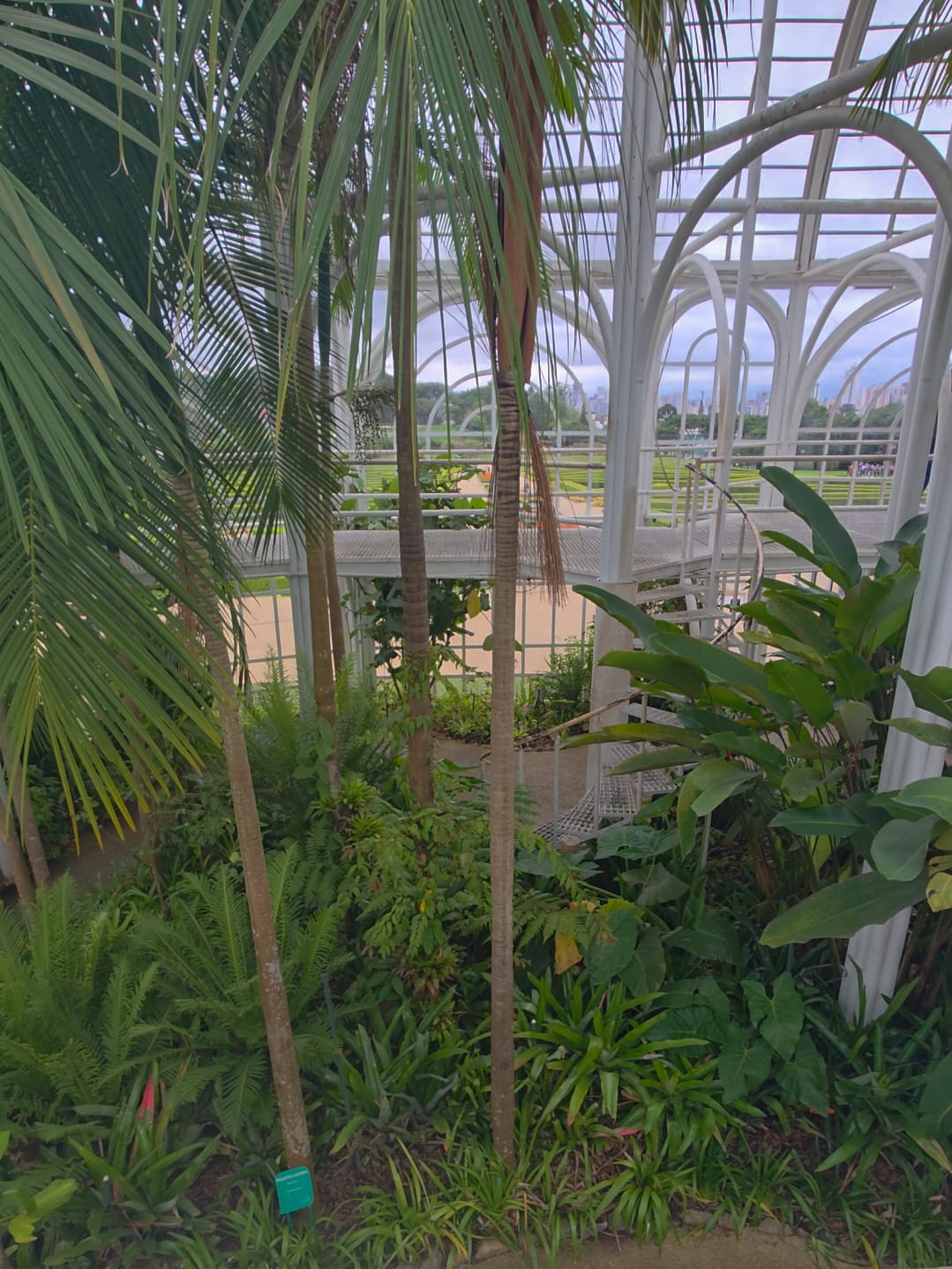 Jardim Botânico de Curitiba