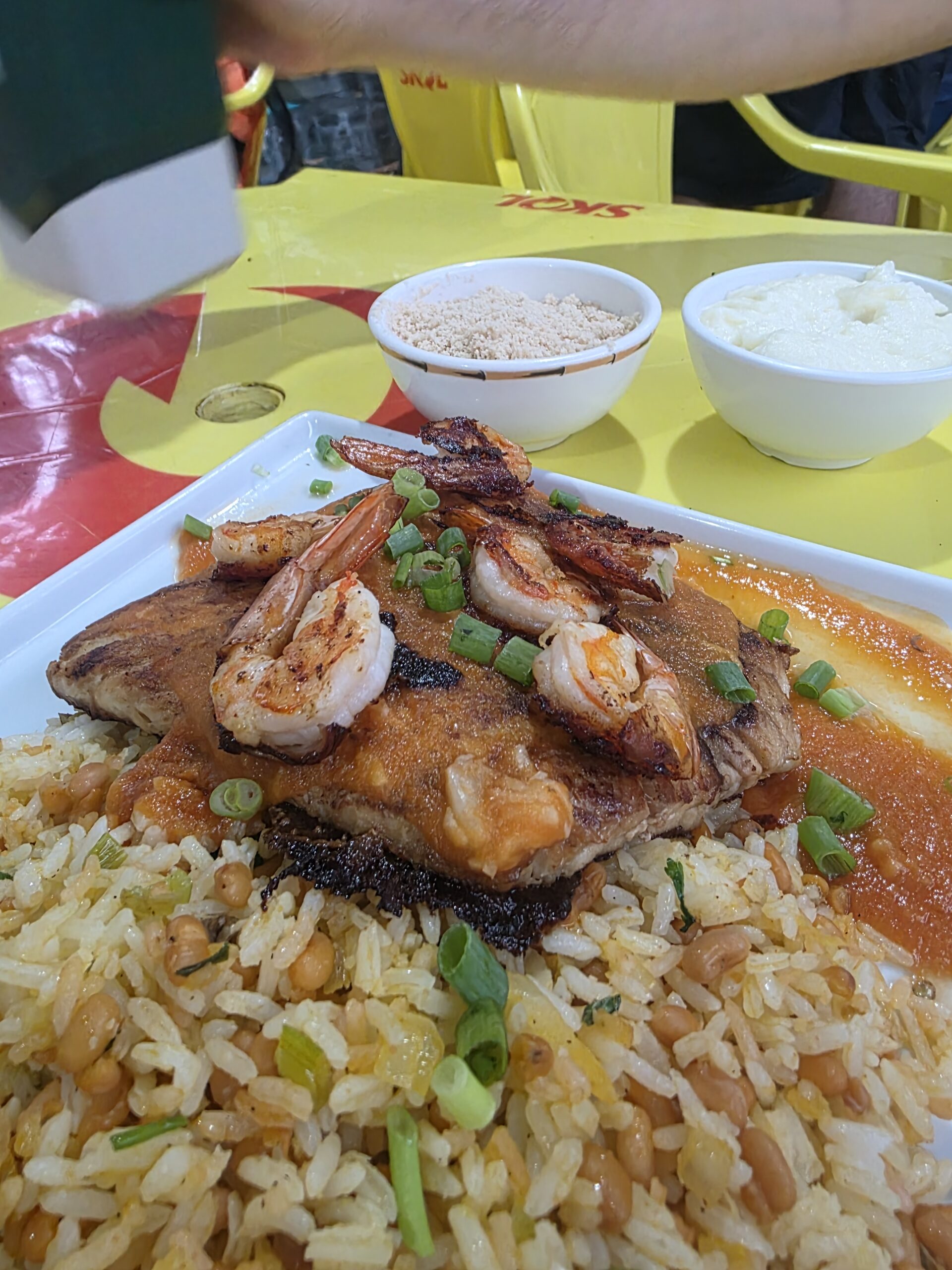 Terraço da Ilha - Combu