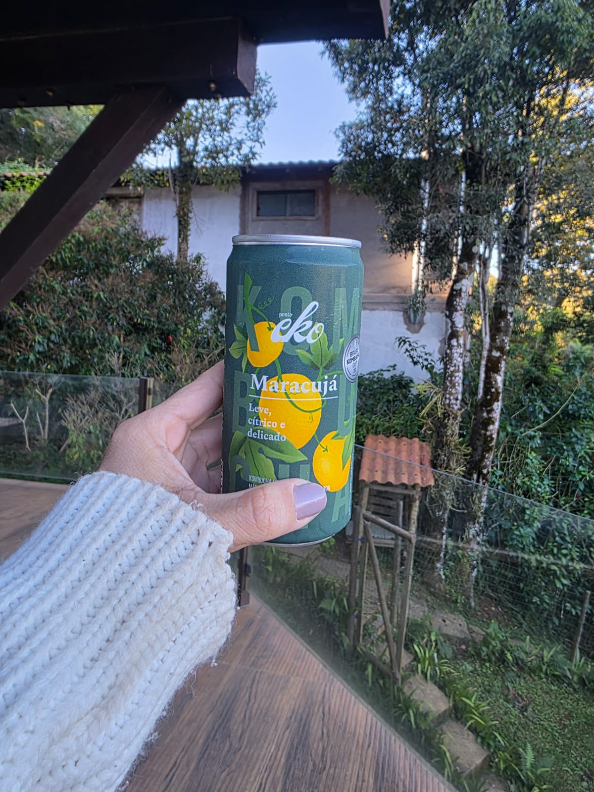 kumbucha